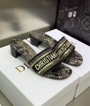 DIOR Slides