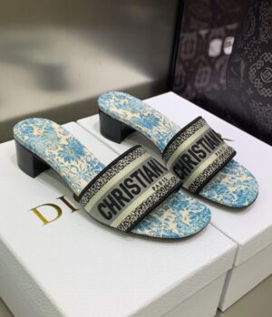 DIOR Slides