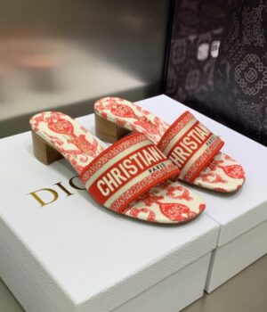 DIOR Slides
