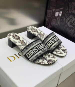 DIOR Slides