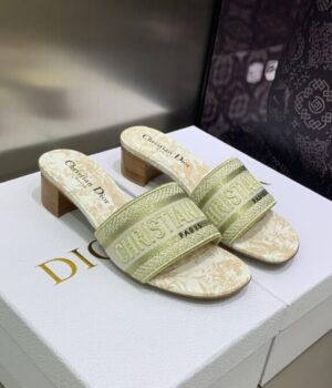 DIOR Slides