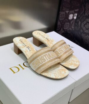 DIOR Slides