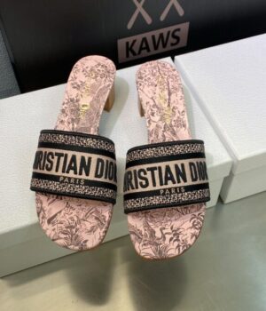 DIOR Slides