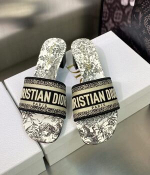DIOR Slides