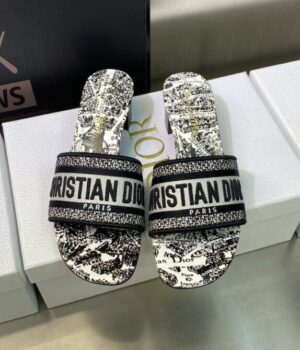 DIOR Slides