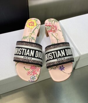 DIOR Slides