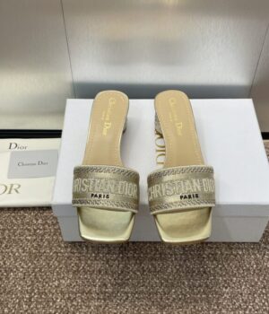 DIOR Slides