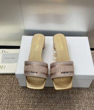 DIOR Slides