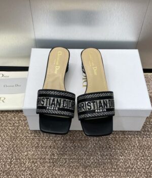 DIOR Slides