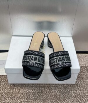 DIOR Slides