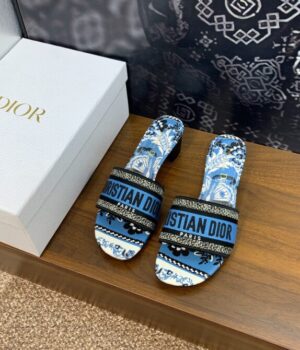DIOR Slides