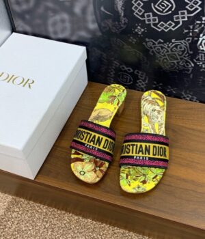 DIOR Slides