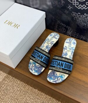 DIOR Slides