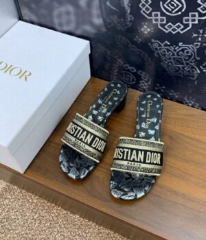 DIOR Slides
