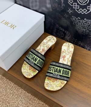 DIOR Slides