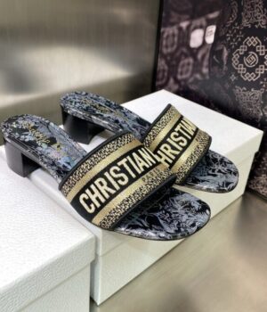 DIOR Slides