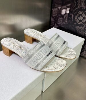 DIOR Slides