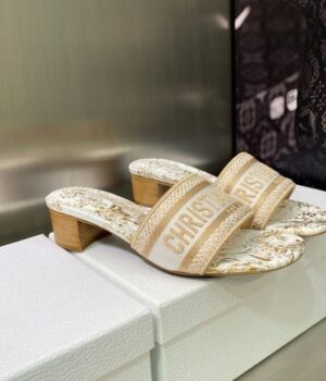 DIOR Slides
