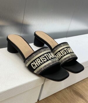 DIOR Slides