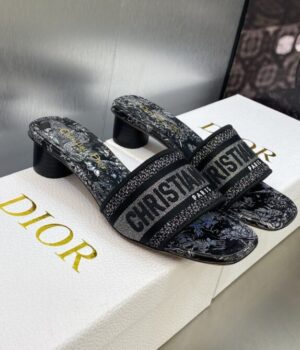DIOR Slides