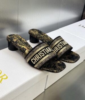 DIOR Slides