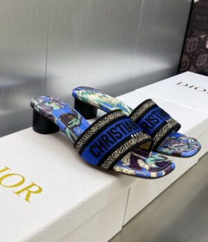 DIOR Slides