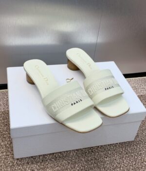 DIOR Slides