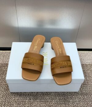 DIOR Slides