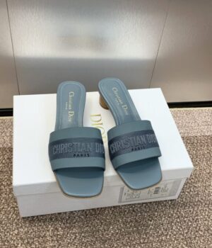 DIOR Slides