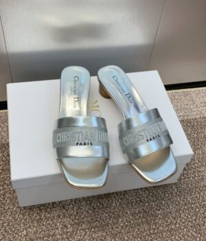 DIOR Slides