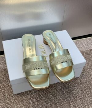 DIOR Slides