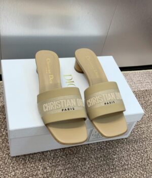 DIOR Slides