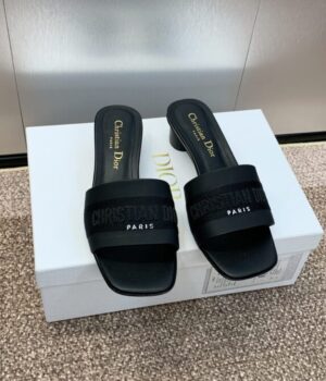 DIOR Slides