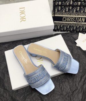 DIOR Slides