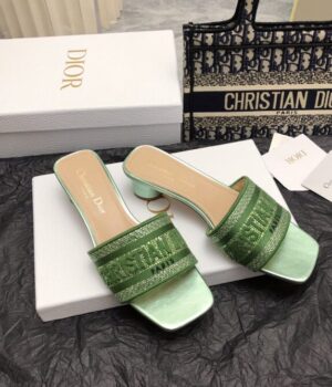 DIOR Slides