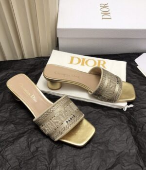 DIOR Slides