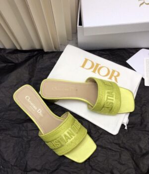 DIOR Slides