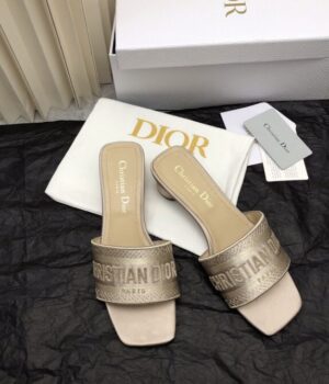 DIOR Slides