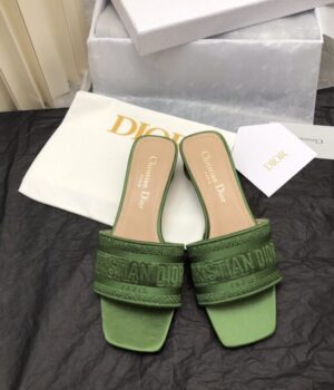 DIOR Slides
