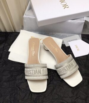 DIOR Slides