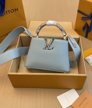 LV Bag