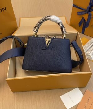 LV Bag