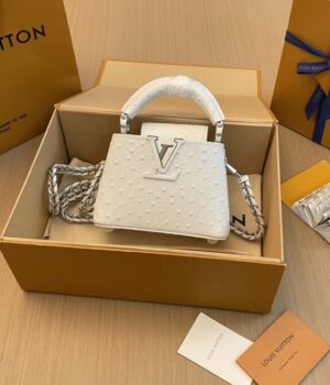 LV Bag