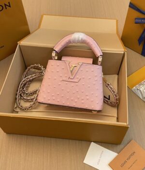 LV Bag