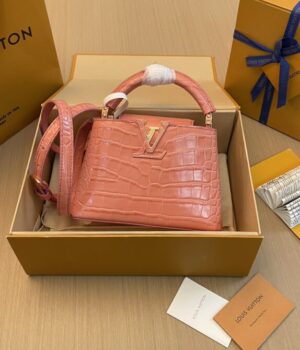 LV Bag
