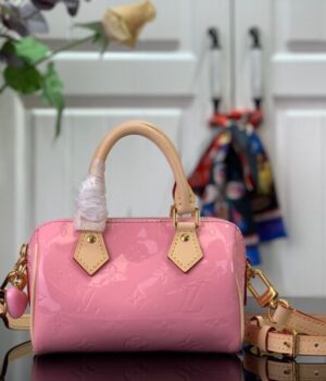 LV Bag