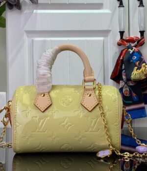 LV Bag