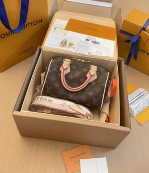 LV Bag