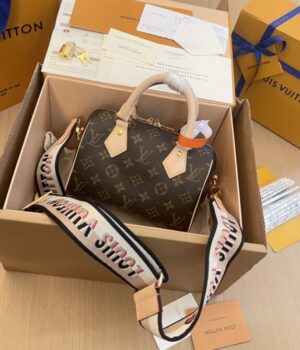 LV Bag