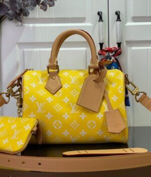 LV Bag